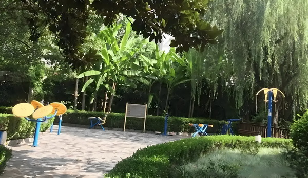 绝代鲛后