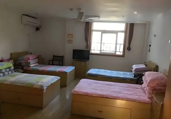 龙血鼎